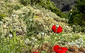 The Poppies - 100M Ocean - Private Space