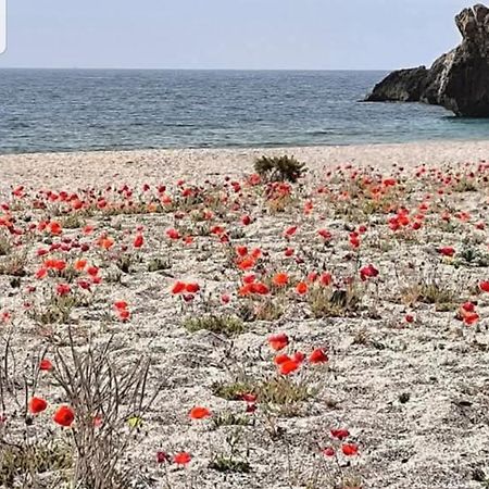 The Poppies Guest House - 100M Ocean - Private Spaces Candelaria Buitenkant foto