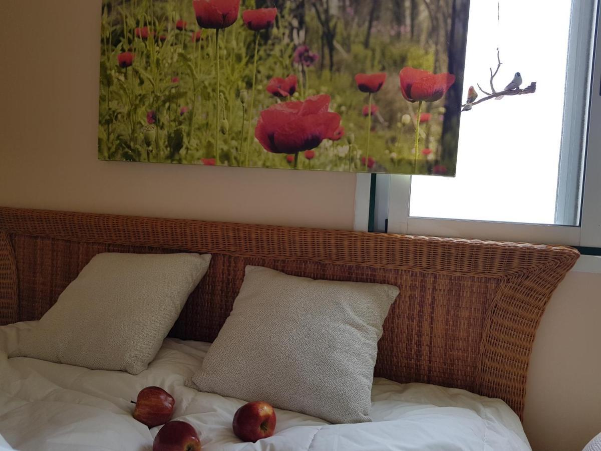 The Poppies Guest House - 100M Ocean - Private Spaces Candelaria Buitenkant foto