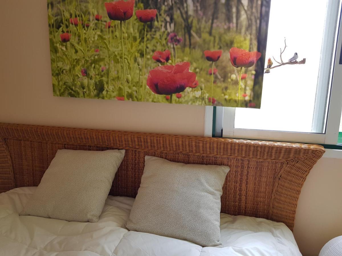 The Poppies Guest House - 100M Ocean - Private Spaces Candelaria Buitenkant foto