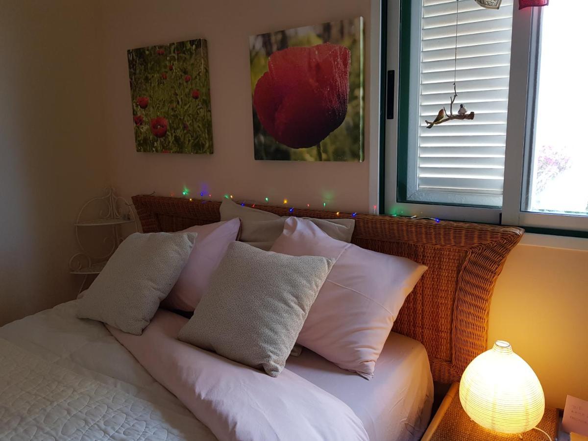 The Poppies Guest House - 100M Ocean - Private Spaces Candelaria Buitenkant foto