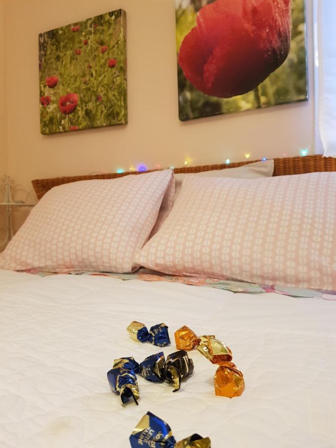 The Poppies Guest House - 100M Ocean - Private Spaces Candelaria Buitenkant foto