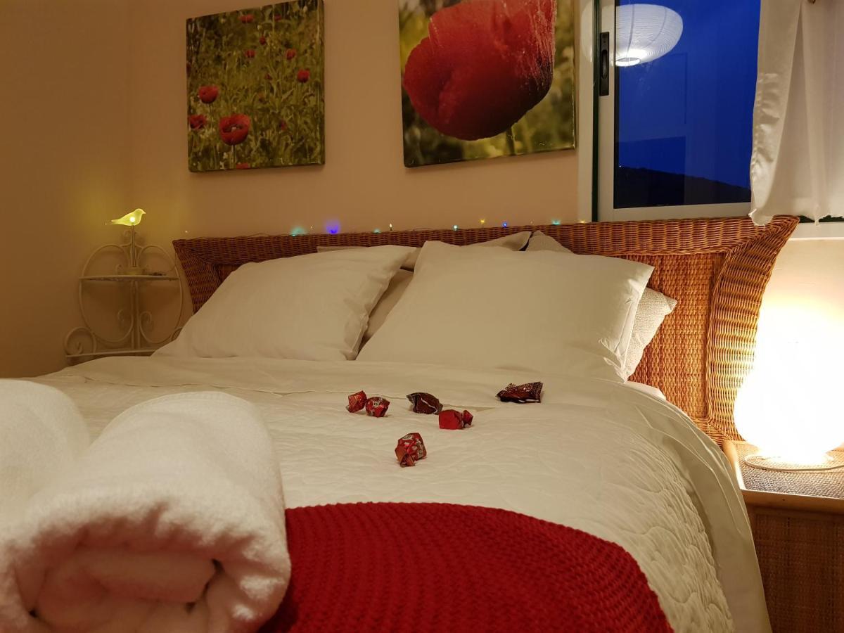 The Poppies Guest House - 100M Ocean - Private Spaces Candelaria Buitenkant foto