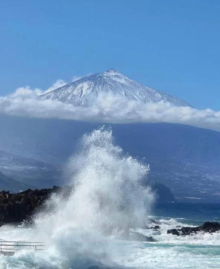 The Poppies Guest House - 100M Ocean - Private Spaces Candelaria Buitenkant foto