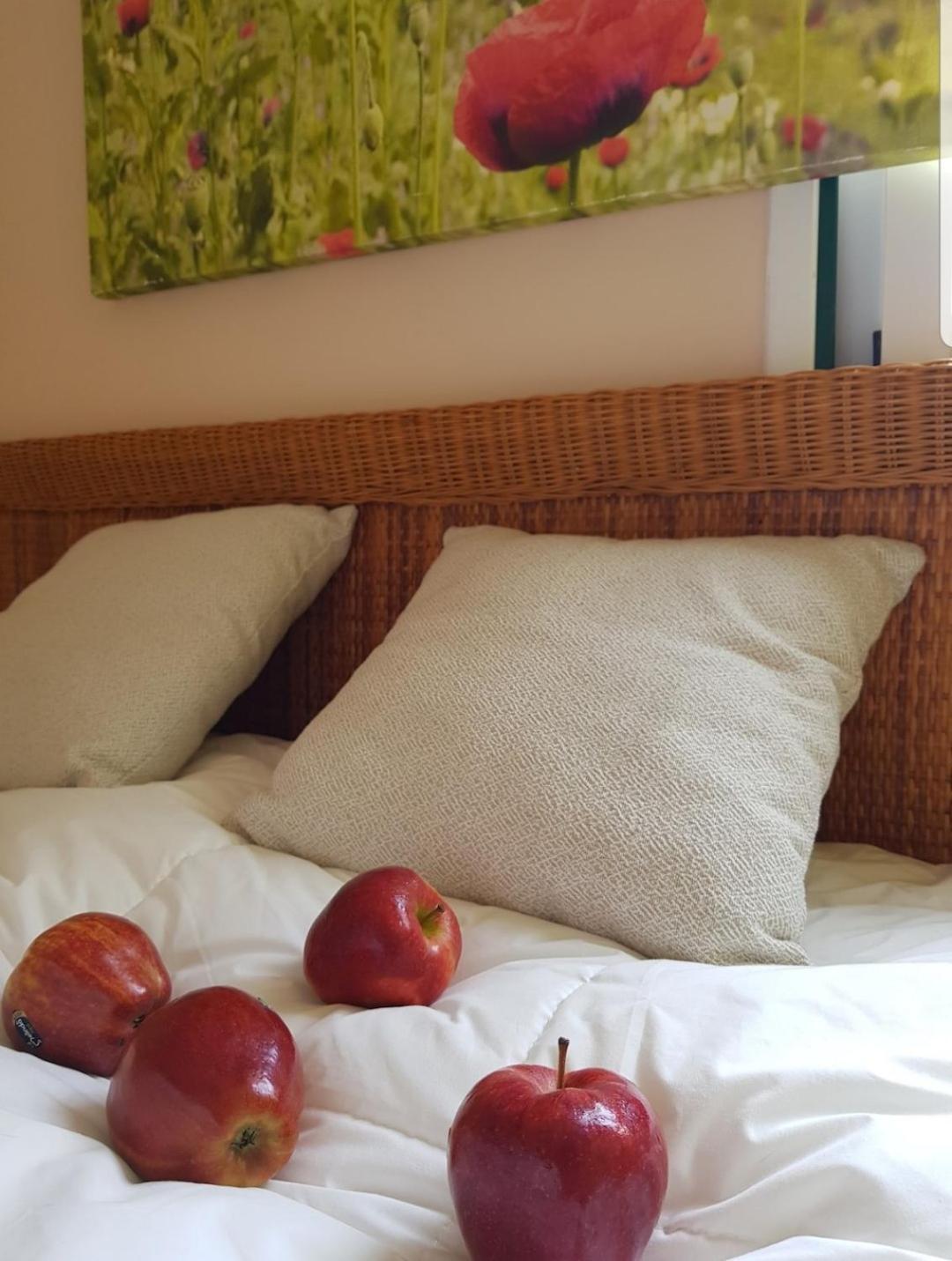 The Poppies Guest House - 100M Ocean - Private Spaces Candelaria Buitenkant foto